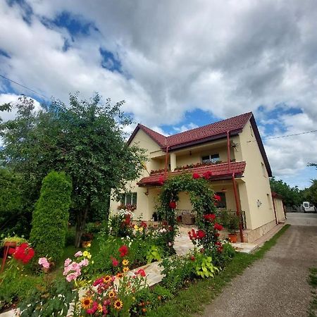 Hotel Steaua Nordului Târgu Neamţ Exterior foto