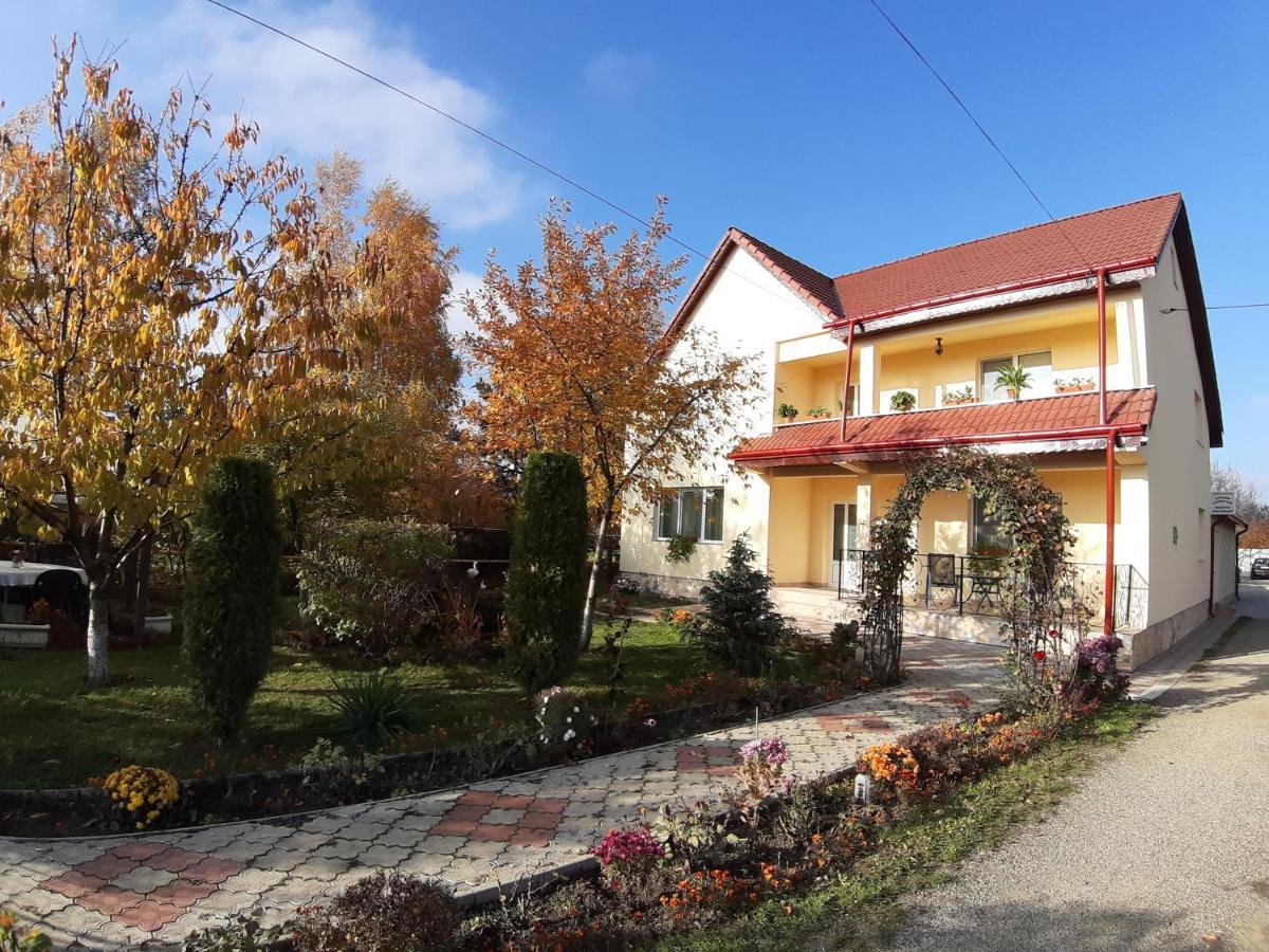 Hotel Steaua Nordului Târgu Neamţ Exterior foto