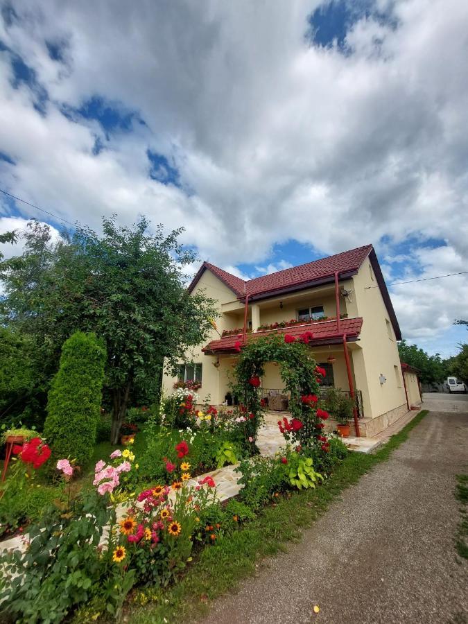 Hotel Steaua Nordului Târgu Neamţ Exterior foto